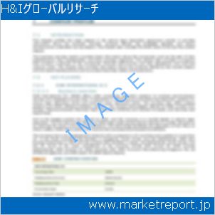 市場と産業調査レポートのイメージ
